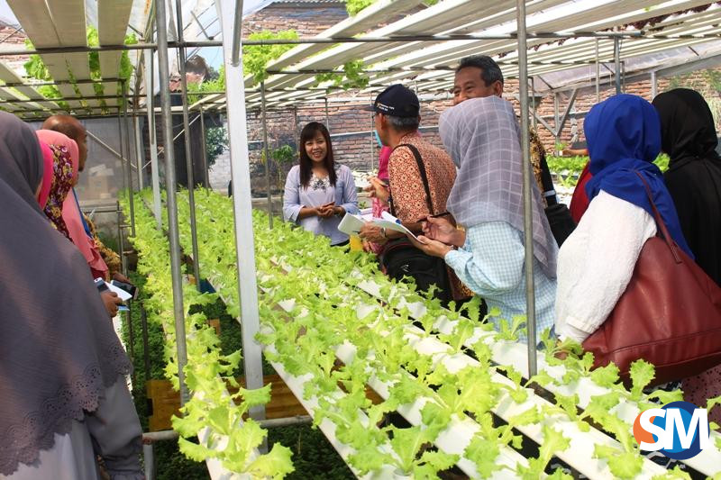 Manfaatkan Lahan Sempit jadi Produktif Manfaatkan Lahan Sempit jadi Produktif