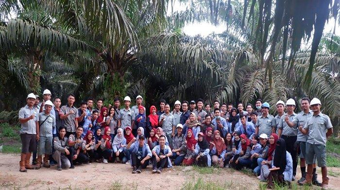 Mahasiswa Politeknik Negeri Pontianak Belajar Industri Perkebunan Kelapa Sawit Kalbar Mahasiswa Politeknik Negeri Pontianak Belajar Industri Perkebunan Kelapa Sawit Kalbar